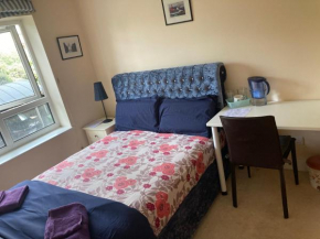 Deluxe Room in Canary Wharf
